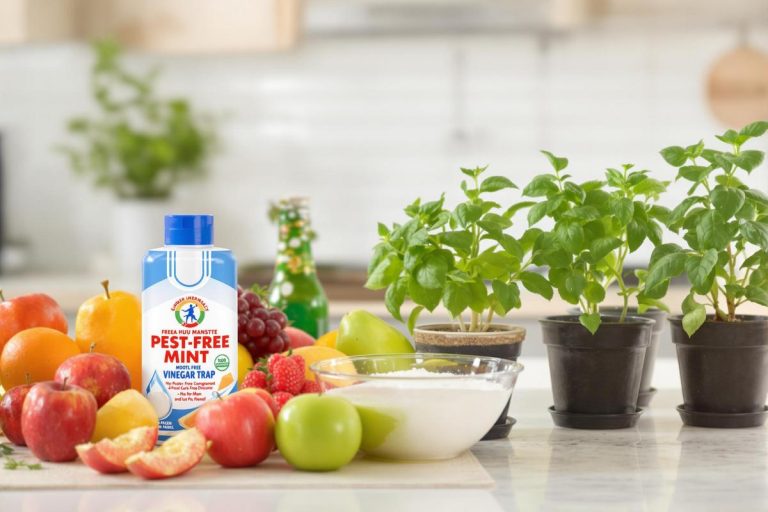 Comment se débarrasser d'une invasion de moucherons dans la cuisine ?