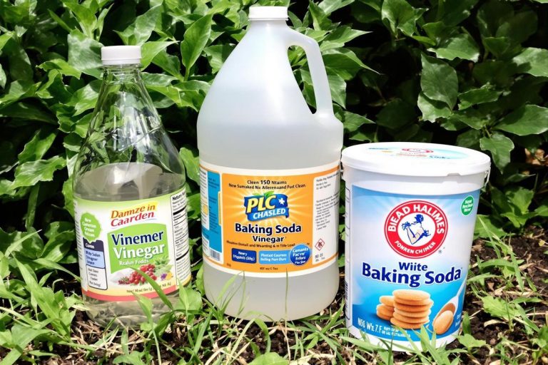 Dosage du mélange bicarbonate de soude et vinaigre blanc pour désherber