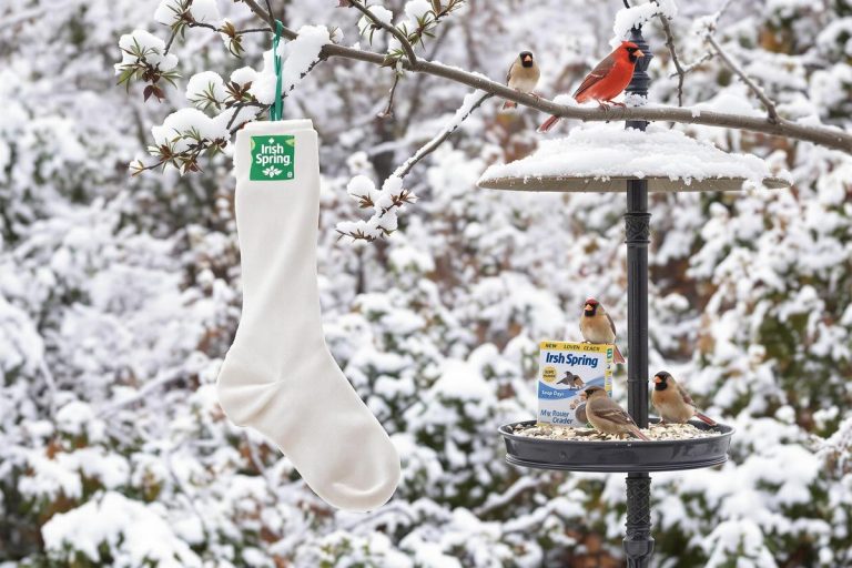Un savon dans une chaussette : la stratégie surprenante pour protéger les oiseaux de votre jardin.jpg