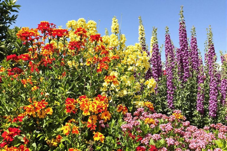 Ces 4 plantes increvables adorent la chaleur, fleurissent sans effort et se multiplient en un clin d’œil.jpg